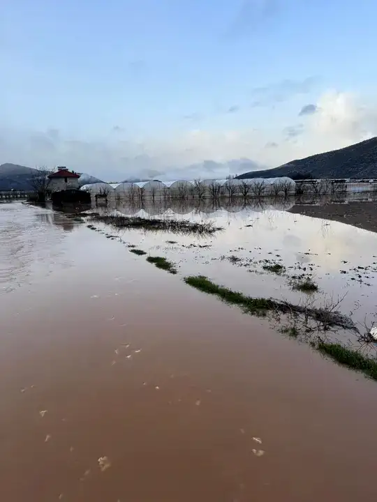 Tarım Arazileri ve Seralar Su Altında Kaldı 6